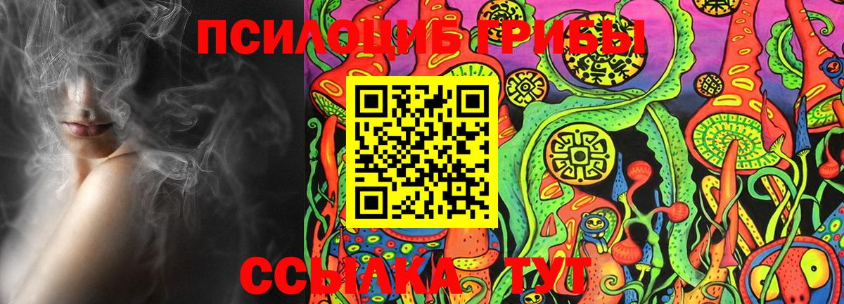 Галлюциногенные грибы Magic Shrooms  Галлюциногенные грибы прущие грибы  Вход с VPN  Киров 